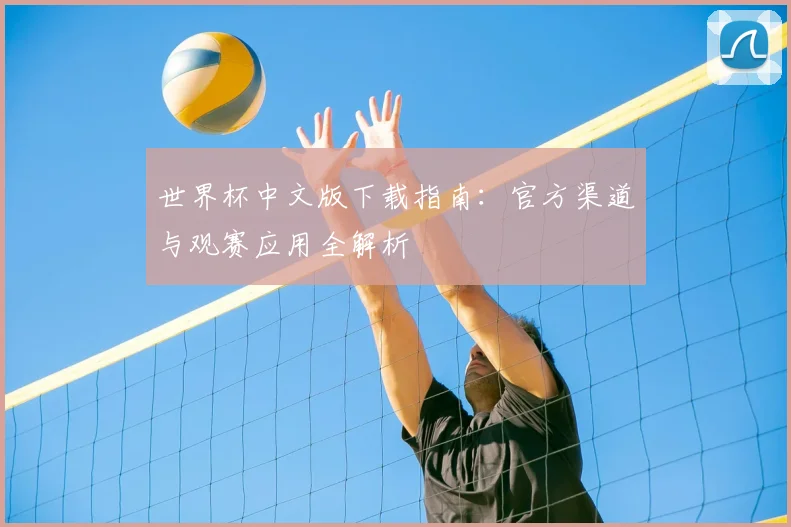 世界杯中文版下载指南：官方渠道与观赛应用全解析